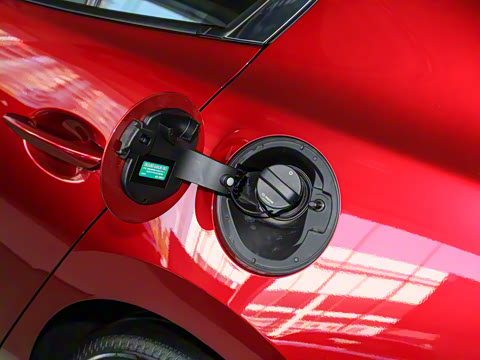 2023�� 2.0L �Զ����Ű�