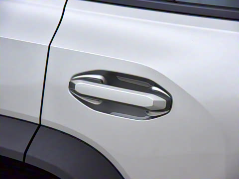 2024�� C-DM 206KM ����ɽҰ��