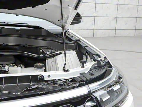 2025�� 2.3T EcoBoost ������Խ�� 5��