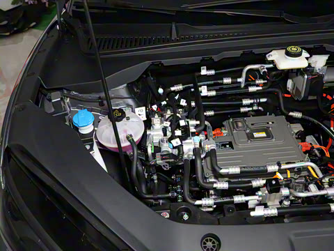 2025�� 520�ǻݰ�