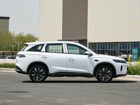 2025�� DM-i �Ǽݰ� 75KM������