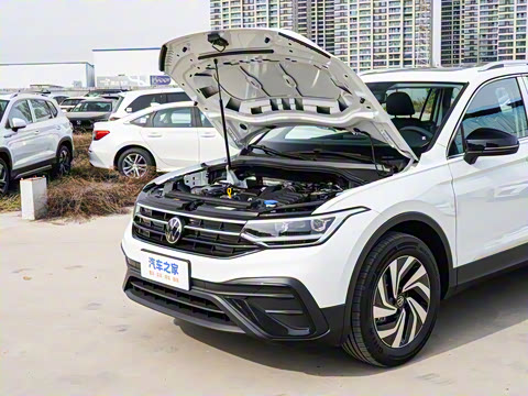 2025�� ���ڿ� 300TSI �Զ��������ڰ�