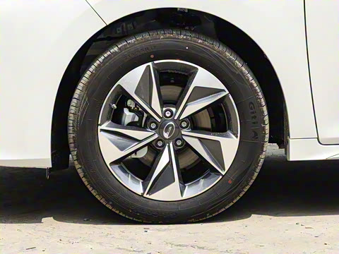 2025�� MAX 270T WDCT ������