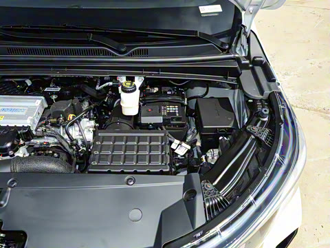 2025�� MAX 270T WDCT ������