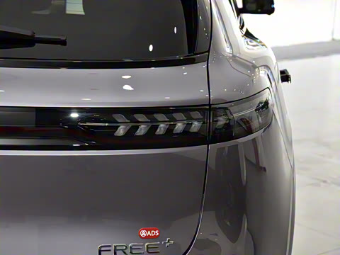 2025�� FREE+ ����Ǭ����