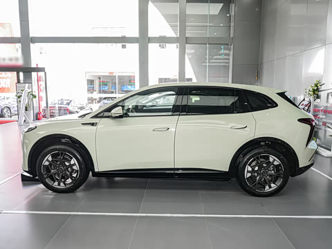 2025�� 520 ��ѡ��