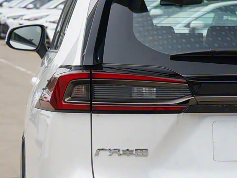 2024�� ˫�� 2.5L E-CVT��������PLUS��