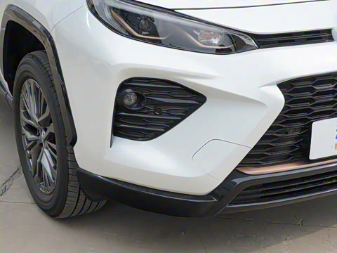 2024�� ˫�� 2.5L E-CVT��������PLUS��