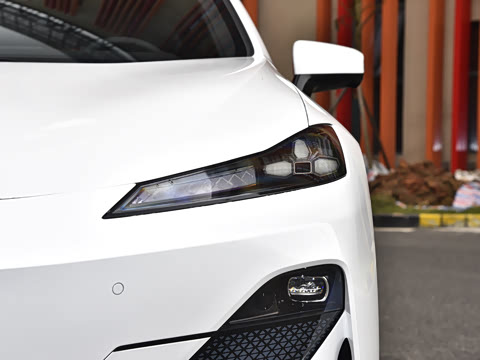 2025�� ���羫Ӣ��