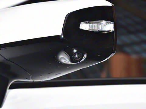 2025�� ���羫Ӣ��