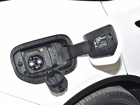 2025�� ���羫Ӣ��