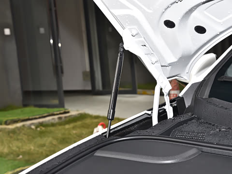 2025�� ���羫Ӣ��