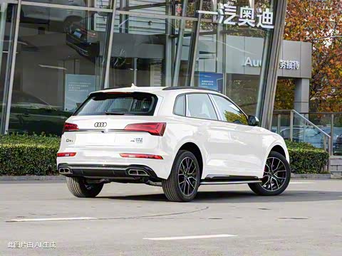 2024�� 45 TFSI ��ѡ������