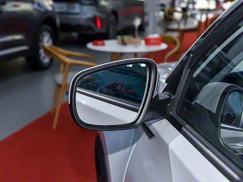 2023�� 290TGDI DCT������