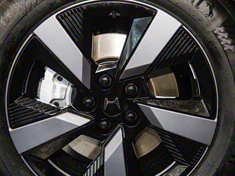 2025�� ����������Plus