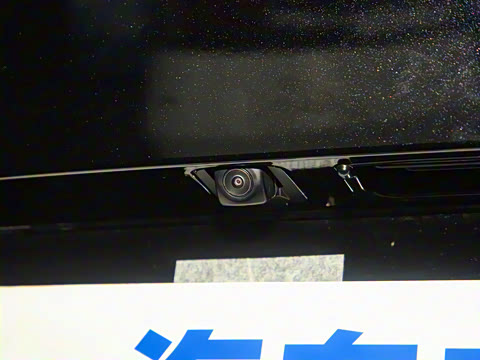 2025�� ����������Plus