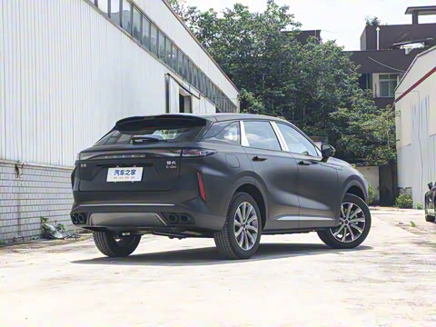 2025�� ̽����