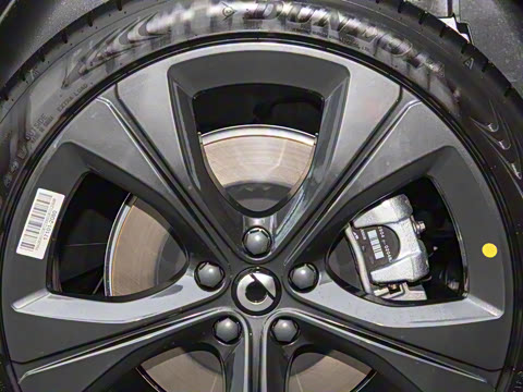 2026�� �Ͷ�������