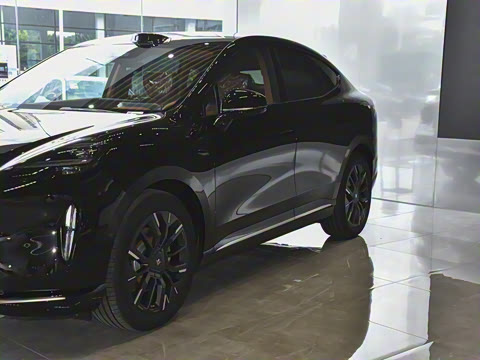 2025�� 825 Max��