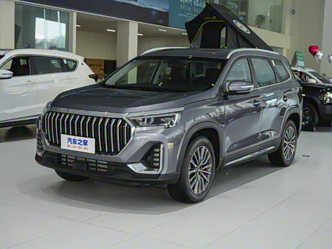 2024�� 1.6TD DCT���� 7��