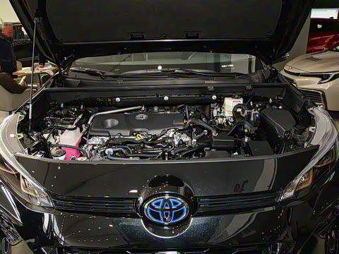 2024�� ˫�� 2.5L E-CVT�������а�