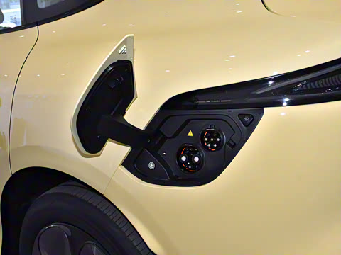 2025�� �������������Ǽݰ�