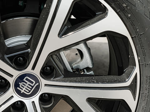 2025�� DM-i 175KM �캽��