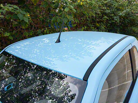 2025�� 222km ������