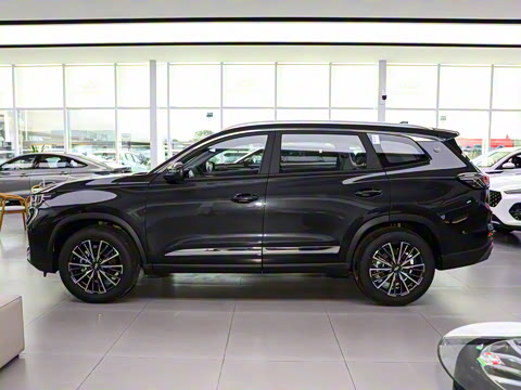 2025�� ׿Խ�� 230TCI �ֶ����ʰ� 5��