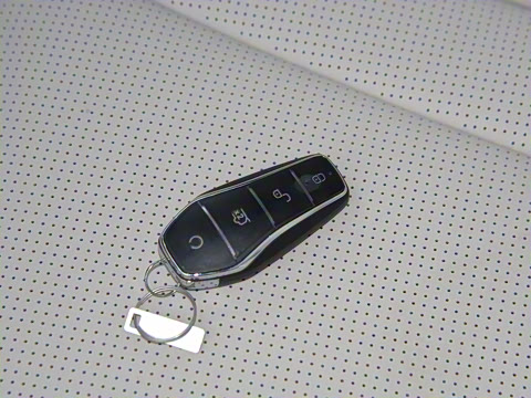 2024�� ��ҫ�� DM-i 1.5T 121km ������