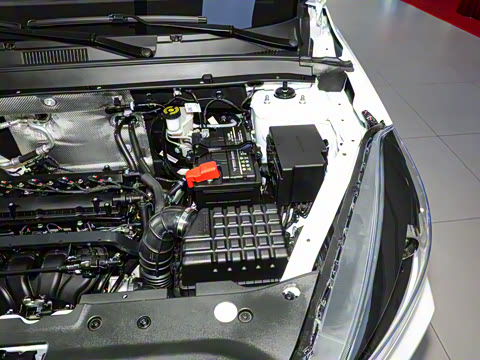 2025�� 1.5L �ֶ����ʰ�