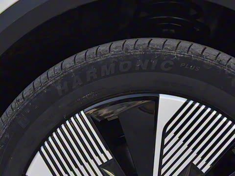 2025�� 565km ������