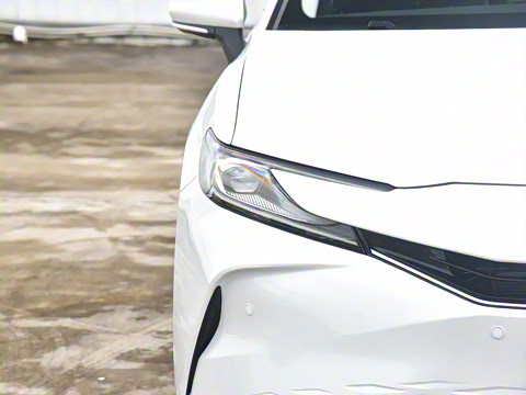 2024�� ˫�� 2.5HG ����