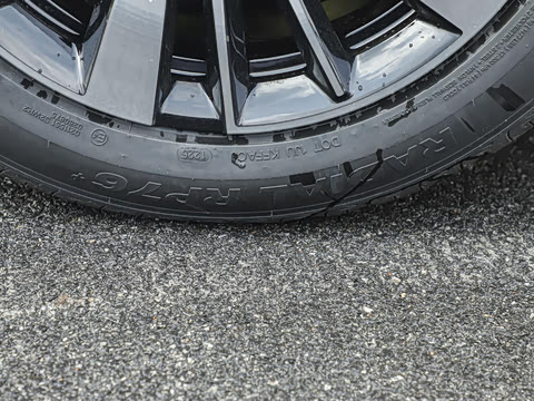 2025�� ��׼��