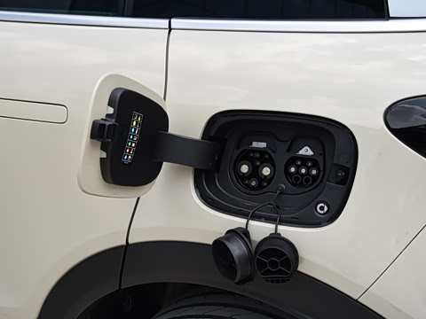 2026�� �鶯��������