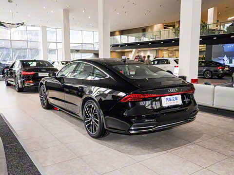 2025�� 45 TFSI ��ѡ��