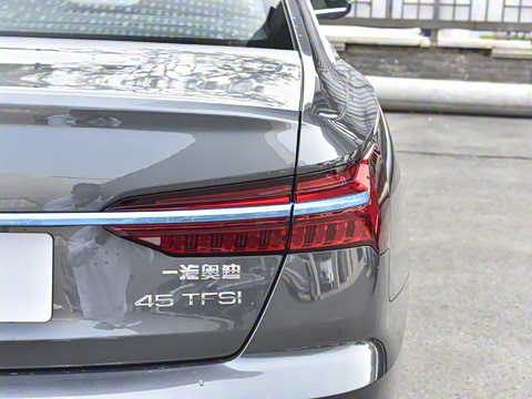 2025�� �Ŀ� 45 TFSI ��ѡ������