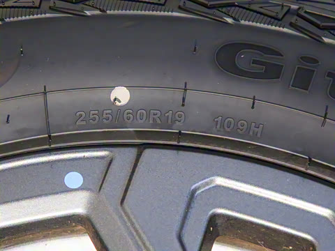 2024�� C-DM 206KM ����ɽҰ��