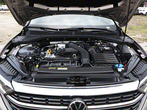 2025�� �Ŀ��� 300TSI DSG��Խ��