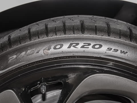 2024�� Max ����������