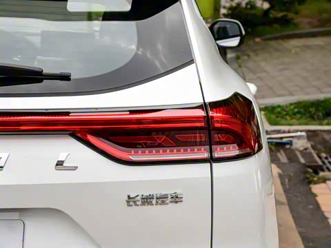 2025�� 1.5T �����ھ���