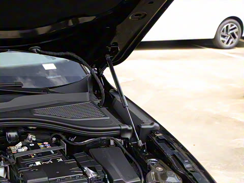 2024��  300TSI DSG���������۰�