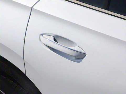 2024�� 380TSI ����R-LineѲ�� ������