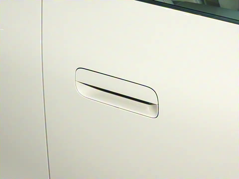 2025�� 530km ����Pro