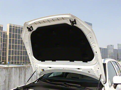 2026�� B5 �������ݺ�����