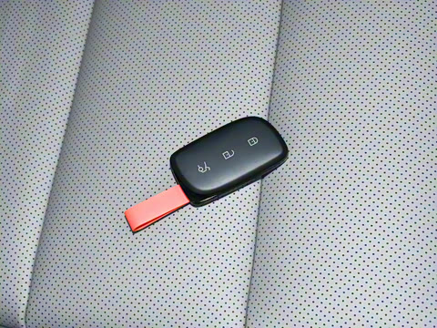 2024�� 71kWh 602km����Pro