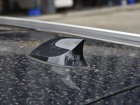 2025�� ���� Max