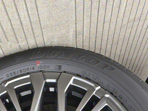 2024�� ˫�� 2.5L E-CVT��������PLUS��