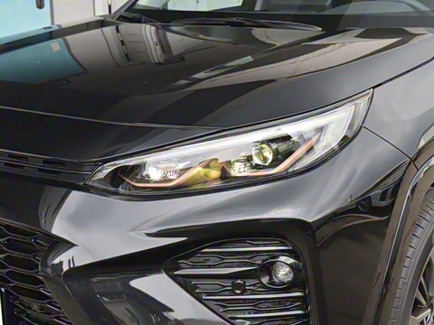 2024�� ˫�� 2.5L E-CVT��������PLUS��