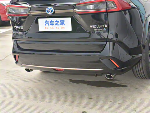 2024�� ˫�� 2.5L E-CVT��������PLUS��